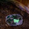 Glow-in-the-Dark Butterfly Stepping Stone